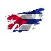 Cuba Cuban Flag