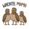 Wachtel