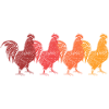 Rooster