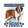 Bernhardiner Papa