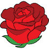 rose