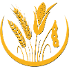Grains