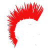 Punk Skull Bone Iroquoes Frisure Rocker