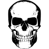 skull