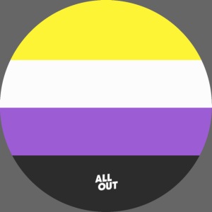 Non-Binary & Genderqueer Pride Flag