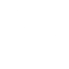 Vegvisir crow