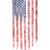 usa flag army