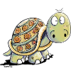 Süße Schildkröten - Schildkröte