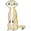 Suricates