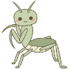 Mantis