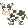 Cow