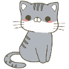 Kawaii Cat