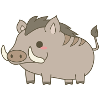 Wild boar