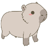 Capybara