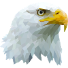 Polyart Adler