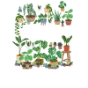 Plant Manager