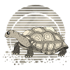 Tortoise