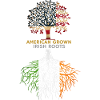 American Grown Irish Roots Ireland Flag