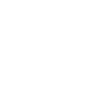 BORZ Head