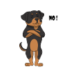 Rottweiler Funny - Rottweiler