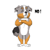 Australian Shepherd Funny - Australian Shepherd