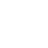 x white