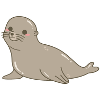 Sea lion