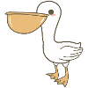 Pelican