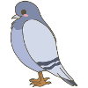 Dove