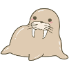 Walrus