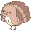 Turkey Thanksgiving