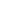 Rollercoaster Roller Coaster