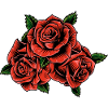 Red Roses Floral Illustration