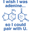 I Wish I Was Adenine