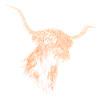 Bronko55 No.53 – Bull