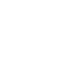 MECHANIC CREW - Skull - FTW