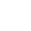 noel
