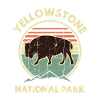 Yellowstone National Park Bison
