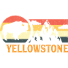 Yellowstone National Park Bison