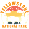 Yellowstone National Park Bison