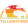Yellowstone National Park Bison