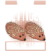 Mettigel Hackfleisch Spruch Mett