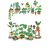 Plant Based