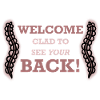 Chiropractic Chiropractor