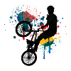 Bmx
