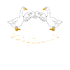 goose