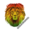 Rainbow Lion Diamond Pattern