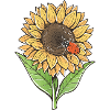 Sunflower and ladybug
