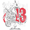 Oldschool Custom