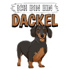 Dackel Ich bin ein Dackel